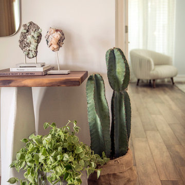 Coral Gables Organic Modern Renovation