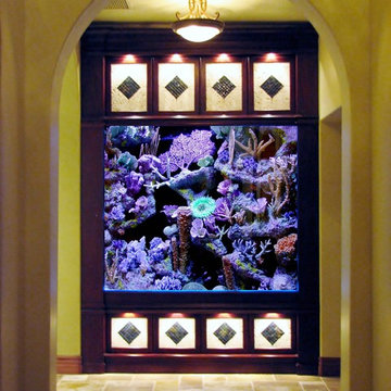 Custom Aquarium Designs by www.aquatic-perfection.com