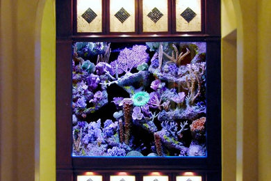 Custom Aquarium Designs by www.aquatic-perfection.com