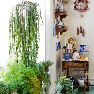 Dining room plants