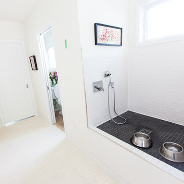 Dog Washing Station
