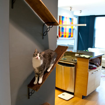 Downtown Madison, WI Condo