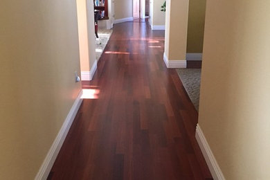 Example of a huge classic dark wood floor hallway design in San Francisco with yellow walls