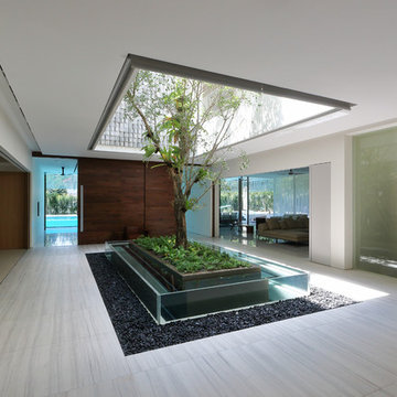 Ficus House