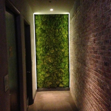 Floating Wall LED by Pure Lighting