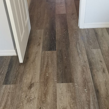 Furry friendly house