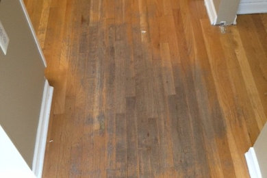 Example of a mid-sized medium tone wood floor hallway design in New York