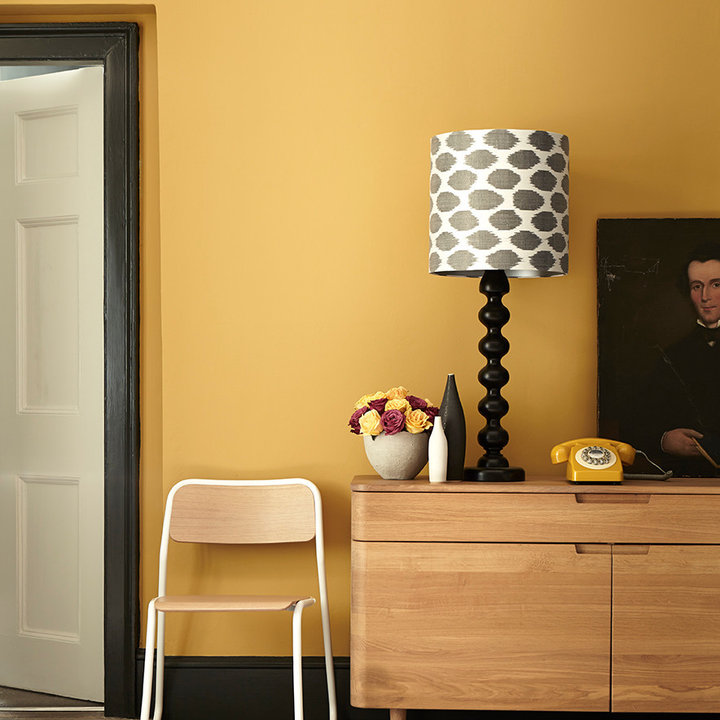 75 Beautiful Traditional Orange Hallway Ideas & Designs January 2023