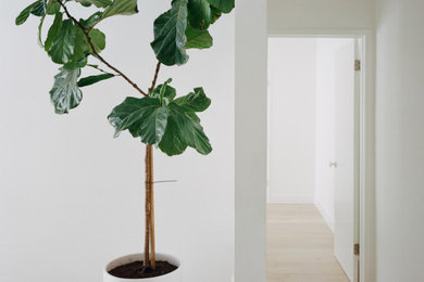 Ispirazione per un ingresso o corridoio minimalista con pareti bianche
