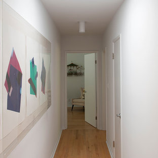 Foto di un grande ingresso o corridoio minimalista con pareti bianche e parquet chiaro