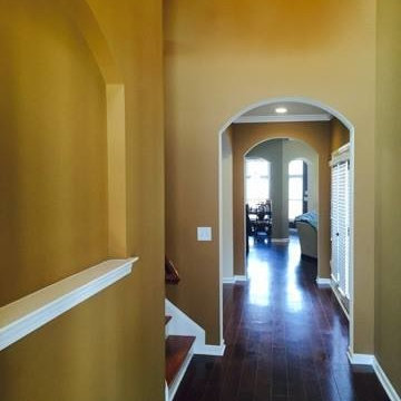 Interior Painting Projects