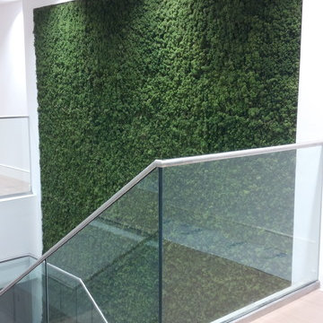 Internal moss wall installation