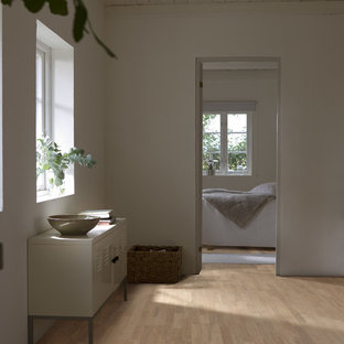 Hallway - mid-sized scandinavian light wood floor hallway idea in Chicago with white walls