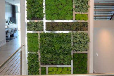 Living Wall at Private Home in Mt Adams
