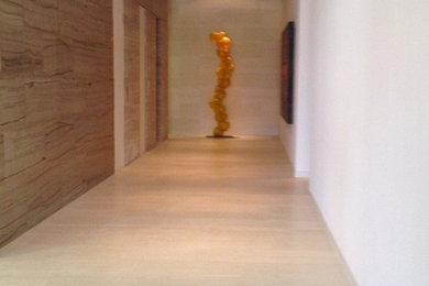 Minimalist hallway photo in Other