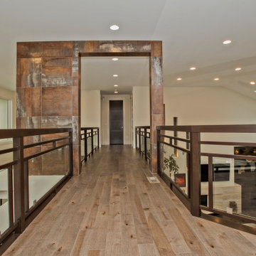 Modern Balcony Railings and Door