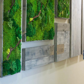 Moss wall art, vertical garden