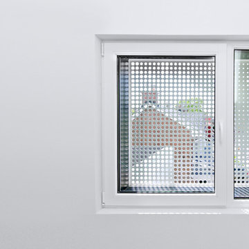 Mount Pleasant House - Perforated Window Screen