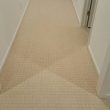 Patterned Carpet