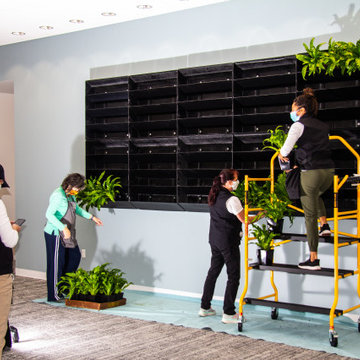 plant wall assembly