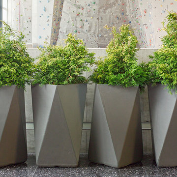 Planters and Containers