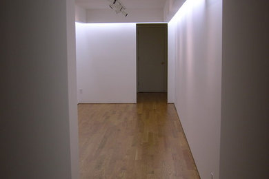 Imagen de recibidores y pasillos modernos de tamaño medio con paredes blancas y suelo de madera clara