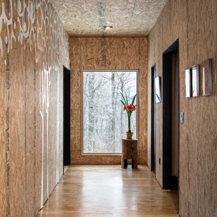 Idées déco pour un couloir contemporain de taille moyenne avec un sol en contreplaqué.