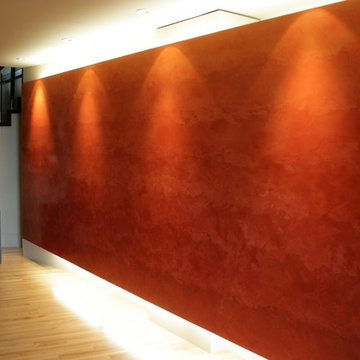 Residential - Polished Veneziano - Feature Wall in Entry Hall