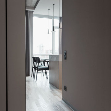 Scandinavian minimalism apartments