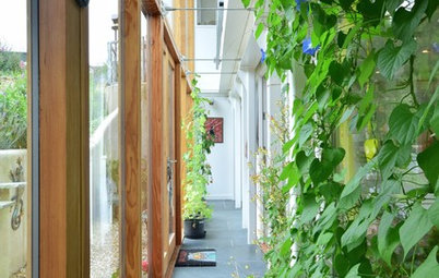 Healthy Home: How to Go Green With a Living Wall or Roof