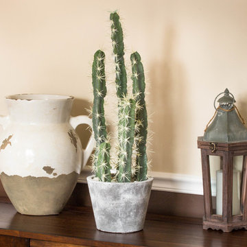 Southwest Wooden Hall Table with Ceramic Pot, Cactus and Lantern