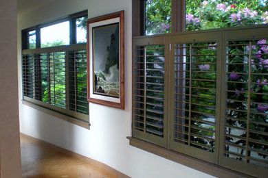 Stained shutters
