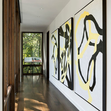 Sunfish Lake Modern