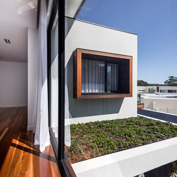 Upstairs Hall with Rooftop Garden Bed
