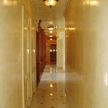 Venetian Plaster