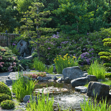 Japansk haveanlæg med Koibassin
