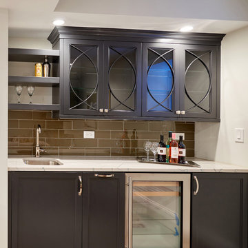 Chicago Spec Home - Wet Bar