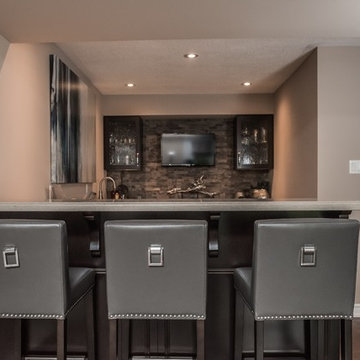 Contemporary Entertainers Basement