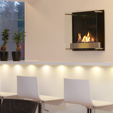 Free Standing and Wall - Hung Fires