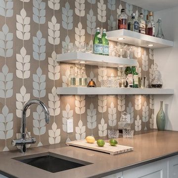 Gourmet Kitchen Renovation, Falls Church, VA