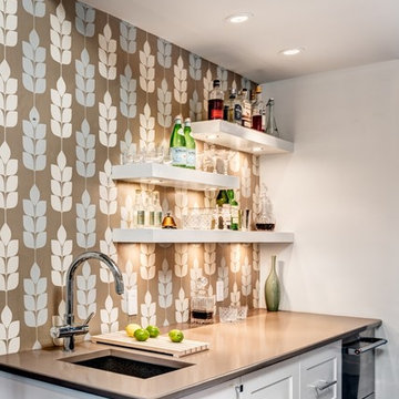 Gourmet Kitchen Renovation, Falls Church, VA