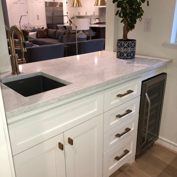 Grasmere Kitchen and Family Room Remodel
