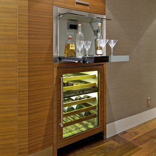 Ejemplo de bar en casa con fregadero lineal, contemporáneo, pequeño, sin pila, con armarios con paneles lisos, puertas de armario de madera clara, suelo de madera oscura y suelo marrón
