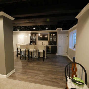 Hawthorn Woods, IL Project