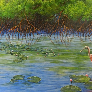 Mangroves and Wading Birds