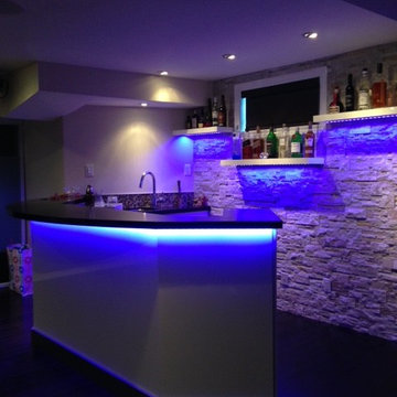 Mississauga Residence - Basement Bar