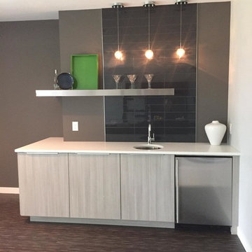 Modern Basement