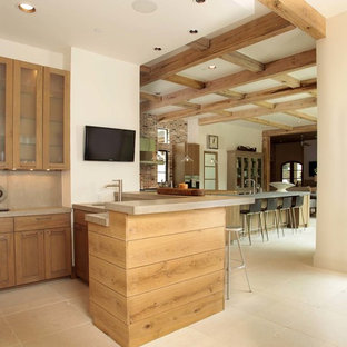 Idee per un grande angolo bar con lavandino classico con lavello sottopiano, ante in stile shaker, ante in legno chiaro, top in cemento, paraspruzzi grigio, paraspruzzi in lastra di pietra e pavimento in travertino