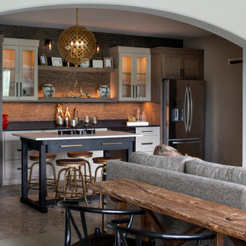 North Oaks - Transitional Total Home Remodel