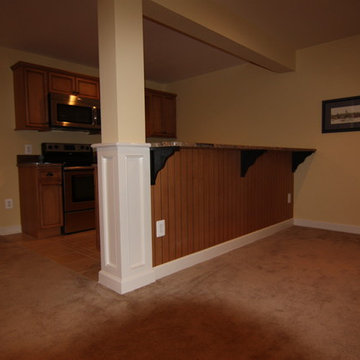 NV home basement build out